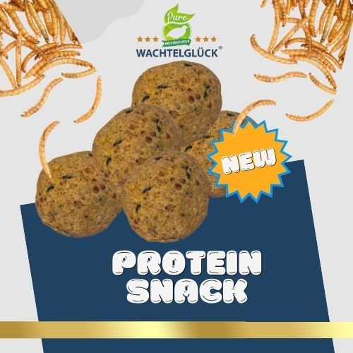 WachtelGlück® ProteinSnack für Wachteln Hühner